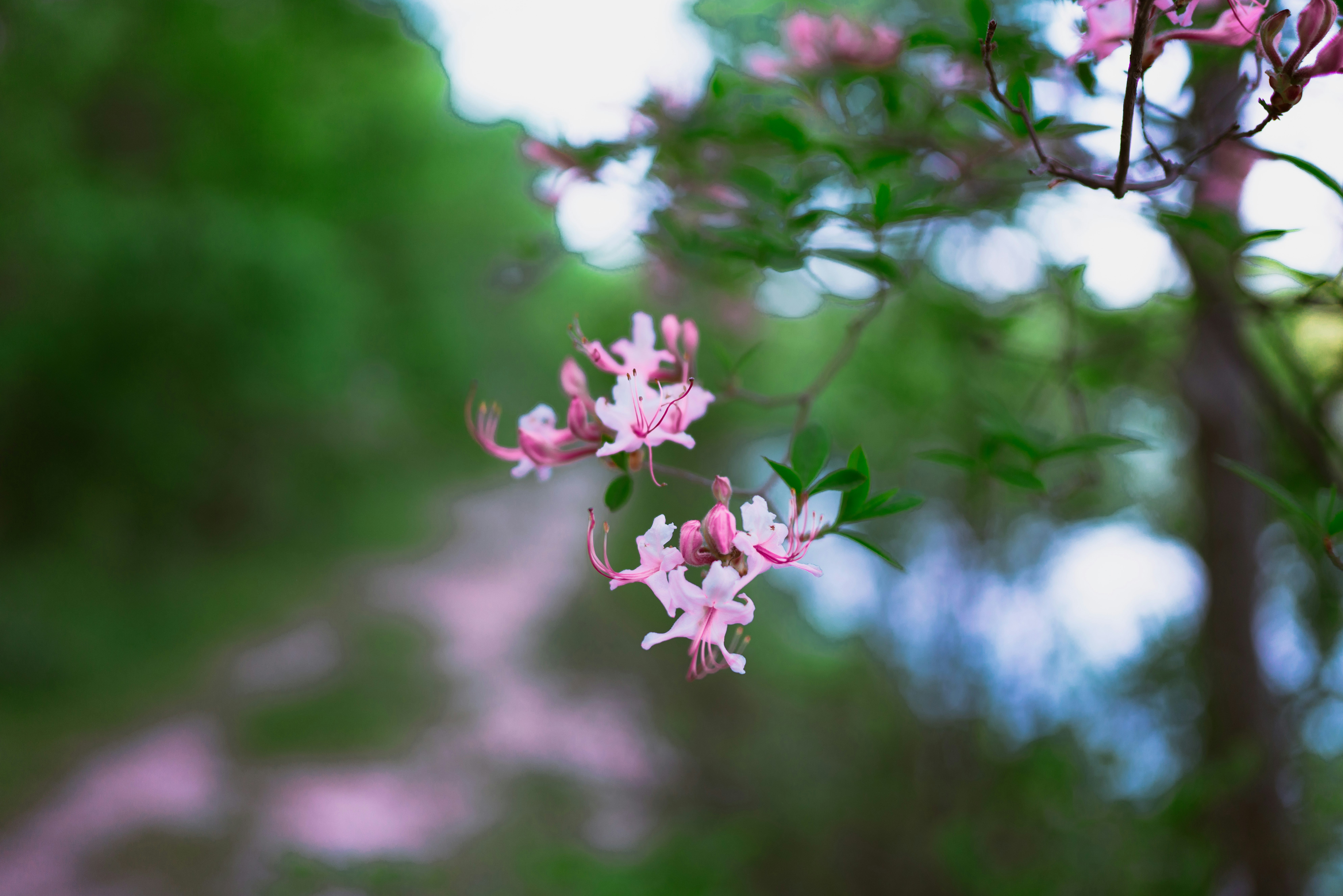 Photo by benjaminzhao