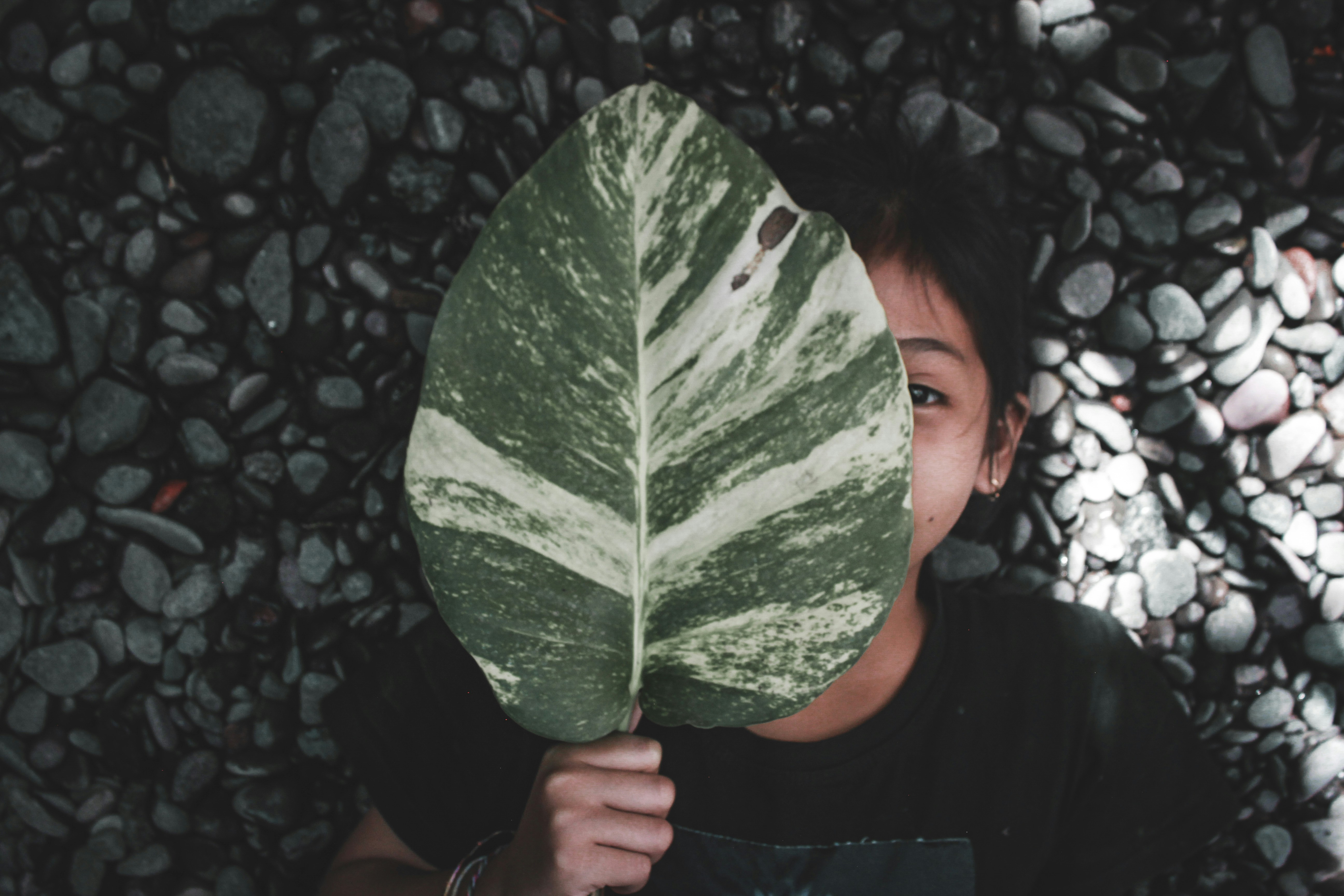 LGBTQ+ Representation in Environmental Policy (image credits: unsplash)