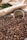 A white coffee cup is partially buried in a large pile of dark roasted coffee beans. The beans are glossy and densely packed, creating a rich texture. In the background, there are soft beige textiles and green leaves, adding a rustic and natural feel to the scene.