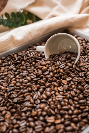 A white coffee cup is partially buried in a large pile of dark roasted coffee beans. The beans are glossy and densely packed, creating a rich texture. In the background, there are soft beige textiles and green leaves, adding a rustic and natural feel to the scene.