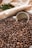 A white coffee cup is partially buried in a large pile of dark roasted coffee beans. The beans are glossy and densely packed, creating a rich texture. In the background, there are soft beige textiles and green leaves, adding a rustic and natural feel to the scene.