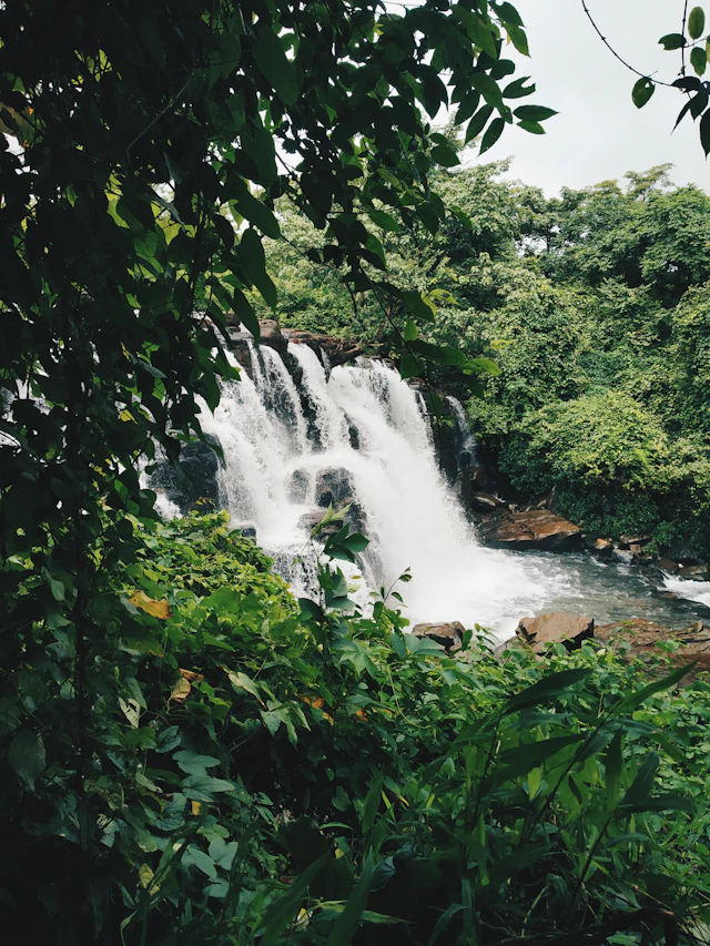 Waterfall in green forest in Konkan