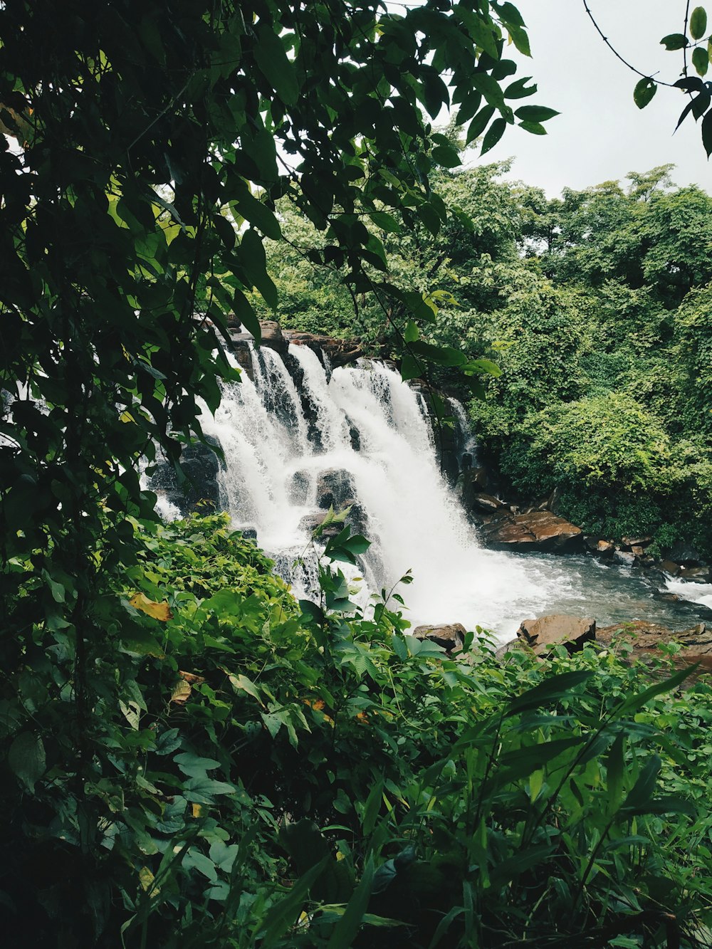 waterfalls in the middle of green trees