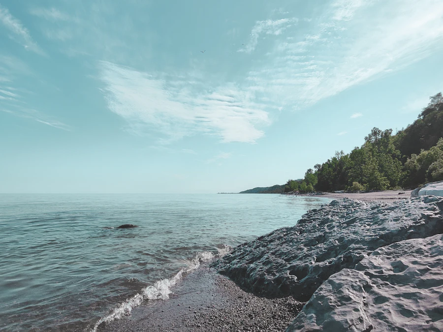 Rocky shoreline and trees beside Lake Ontario