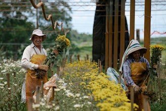 woman in white long sleeve shirt and brown hat standing on yellow flower field during daytime
