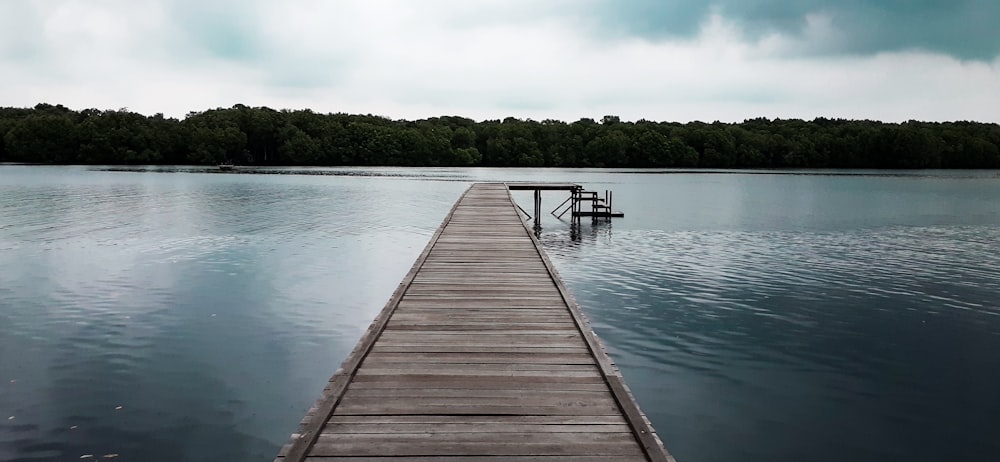 brown wooden dock on lake during daytime