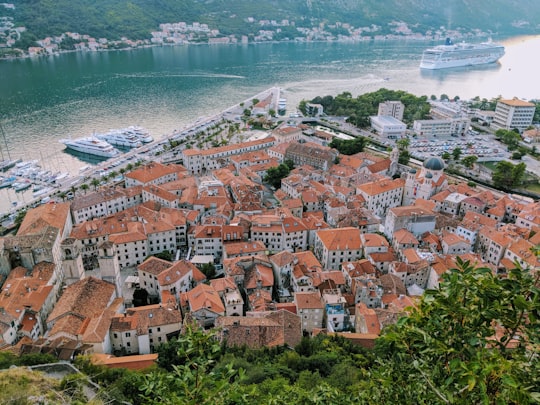 aerial view of city near body of water during daytime in Kotor Fortress Montenegro