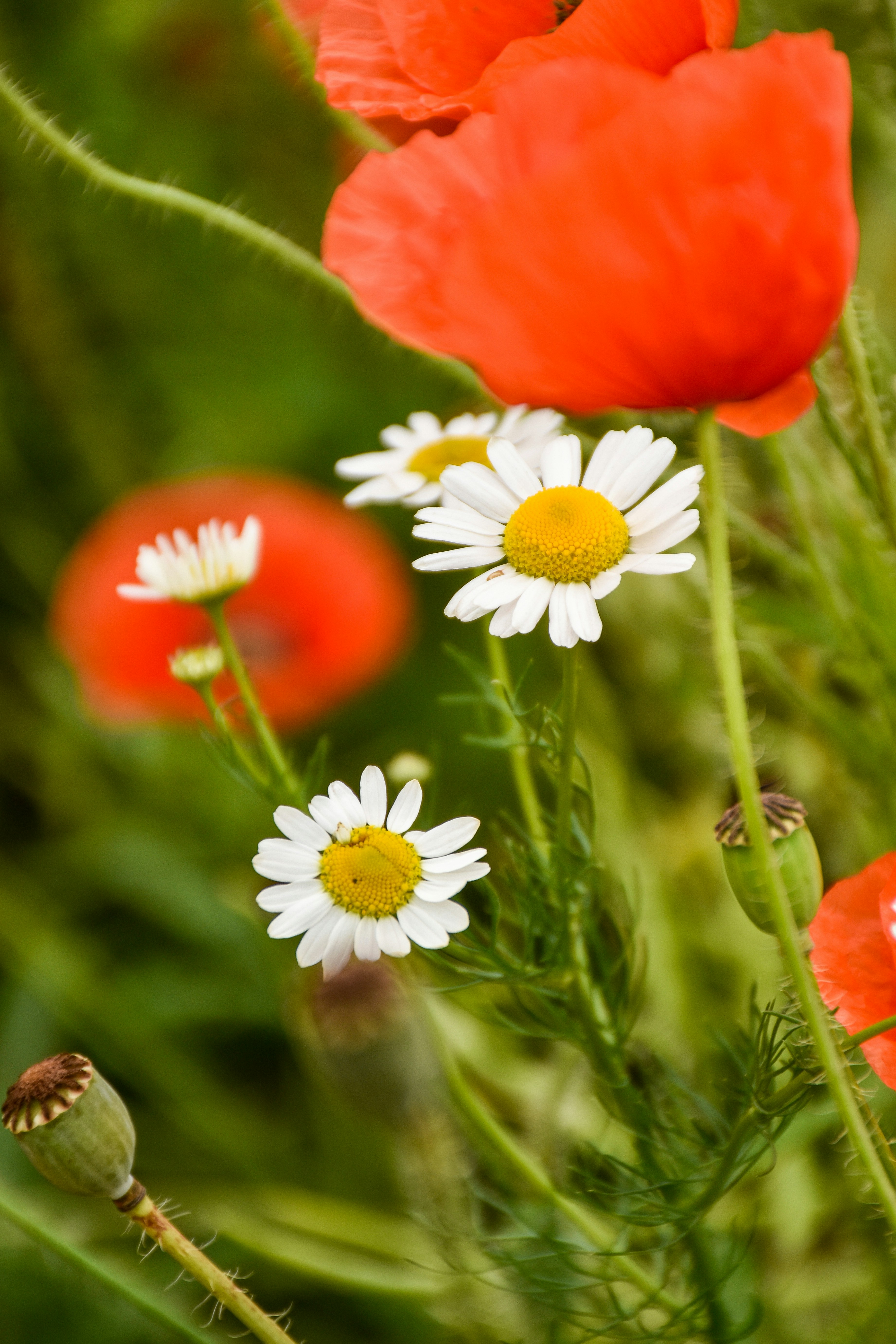 Photo by artem_makarov