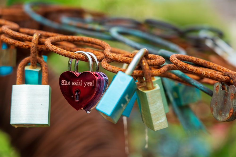 blue and red padlock on brown metal chain