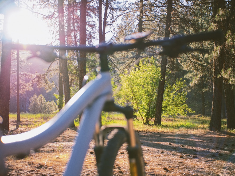 black bicycle near green trees during daytime