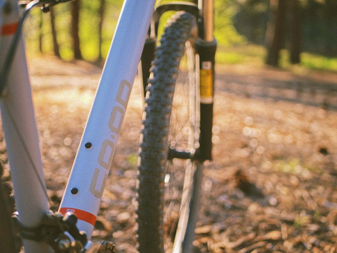 mountain bike drivetrain closeup