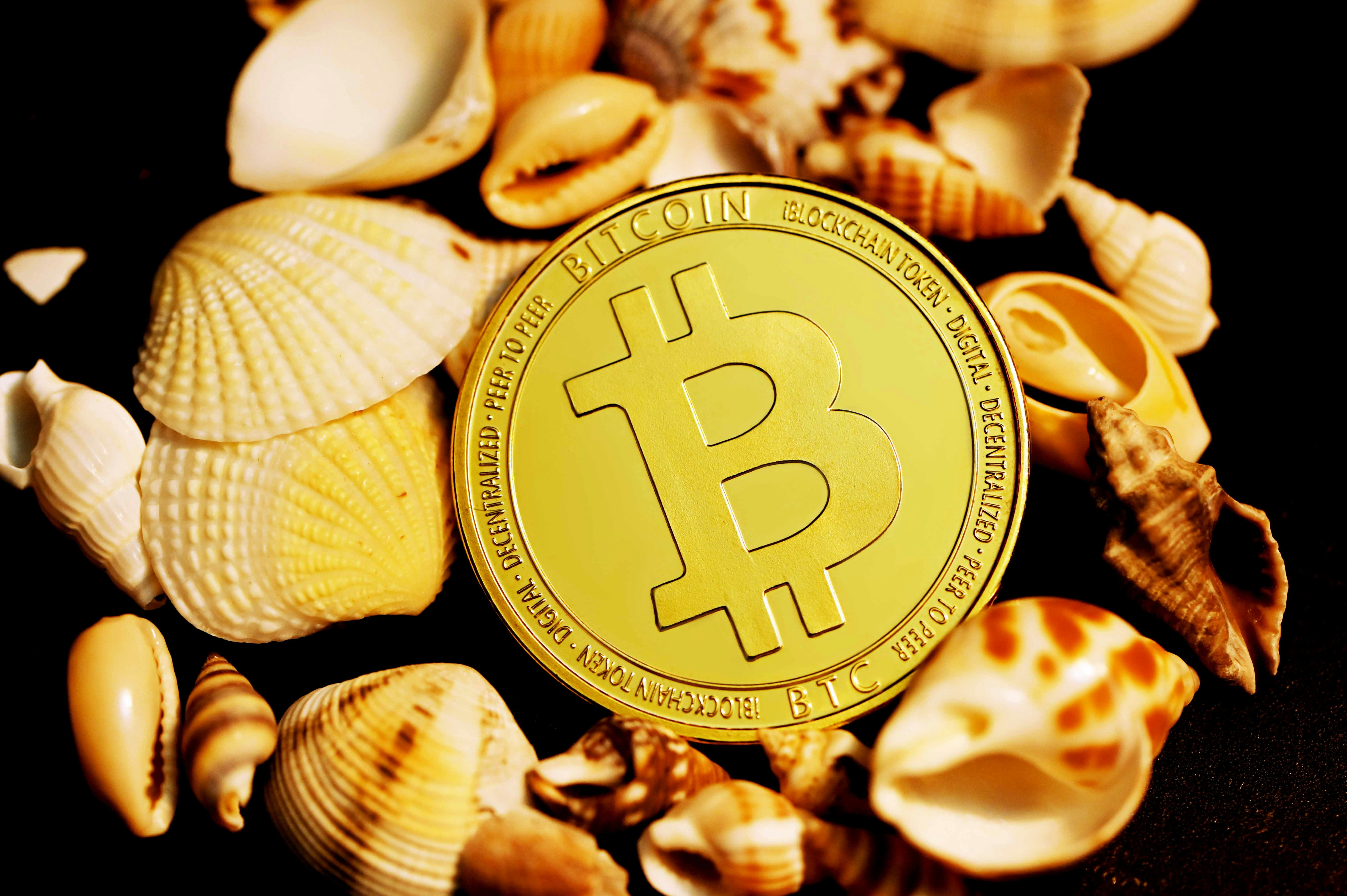 A bitcoin coin on top of sea shells