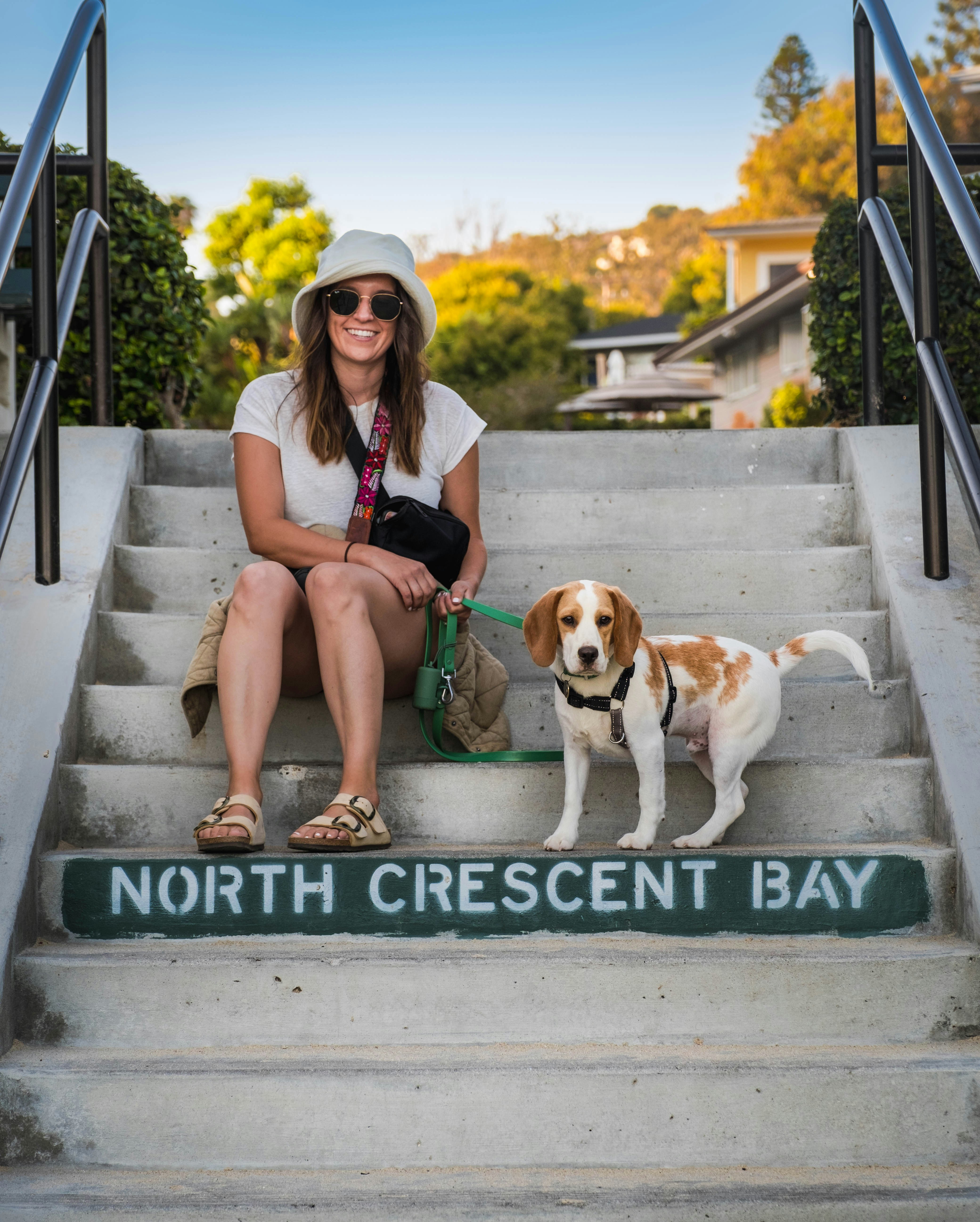 Dog mom and beagle son