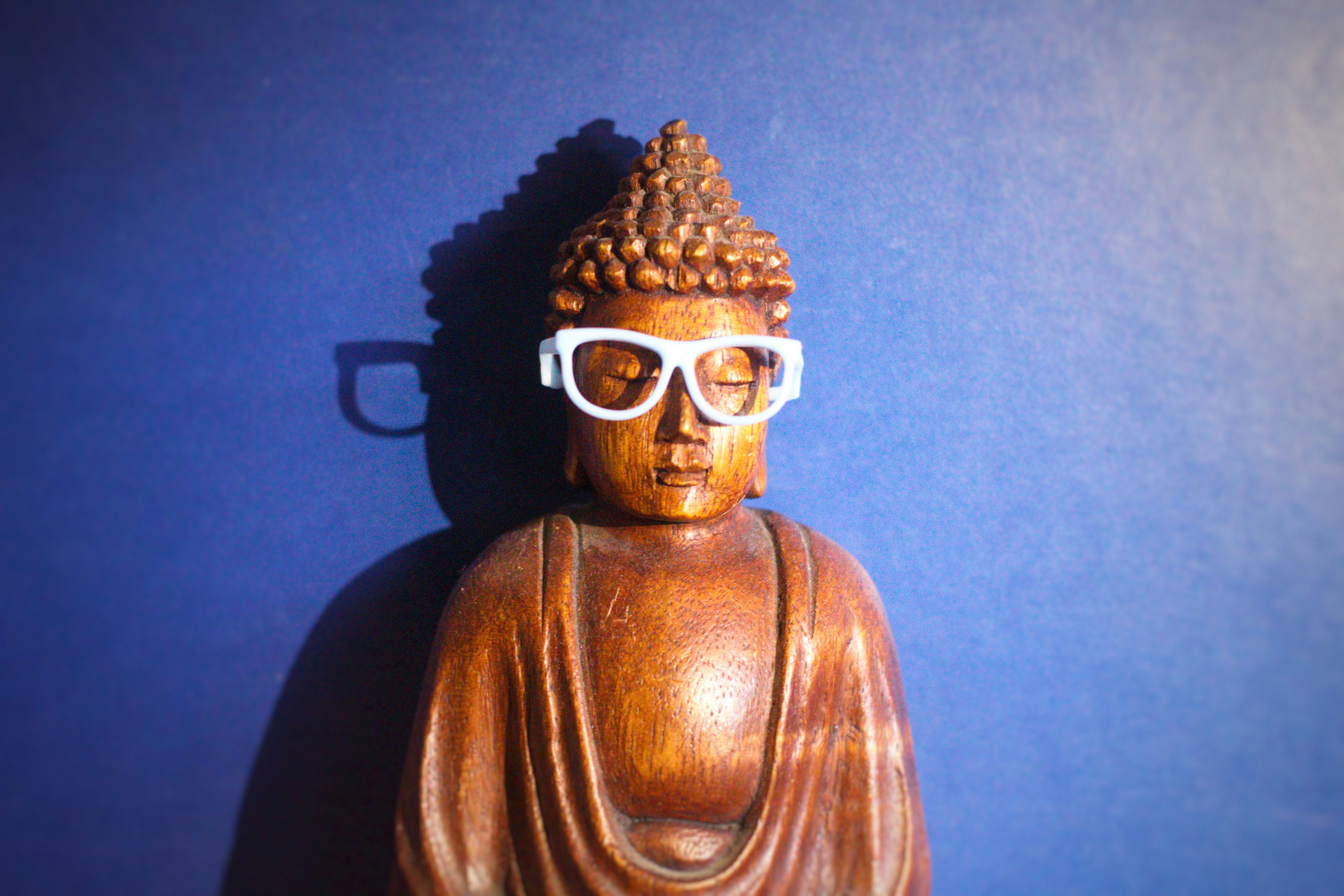 Buddha Wisdom Hoodie