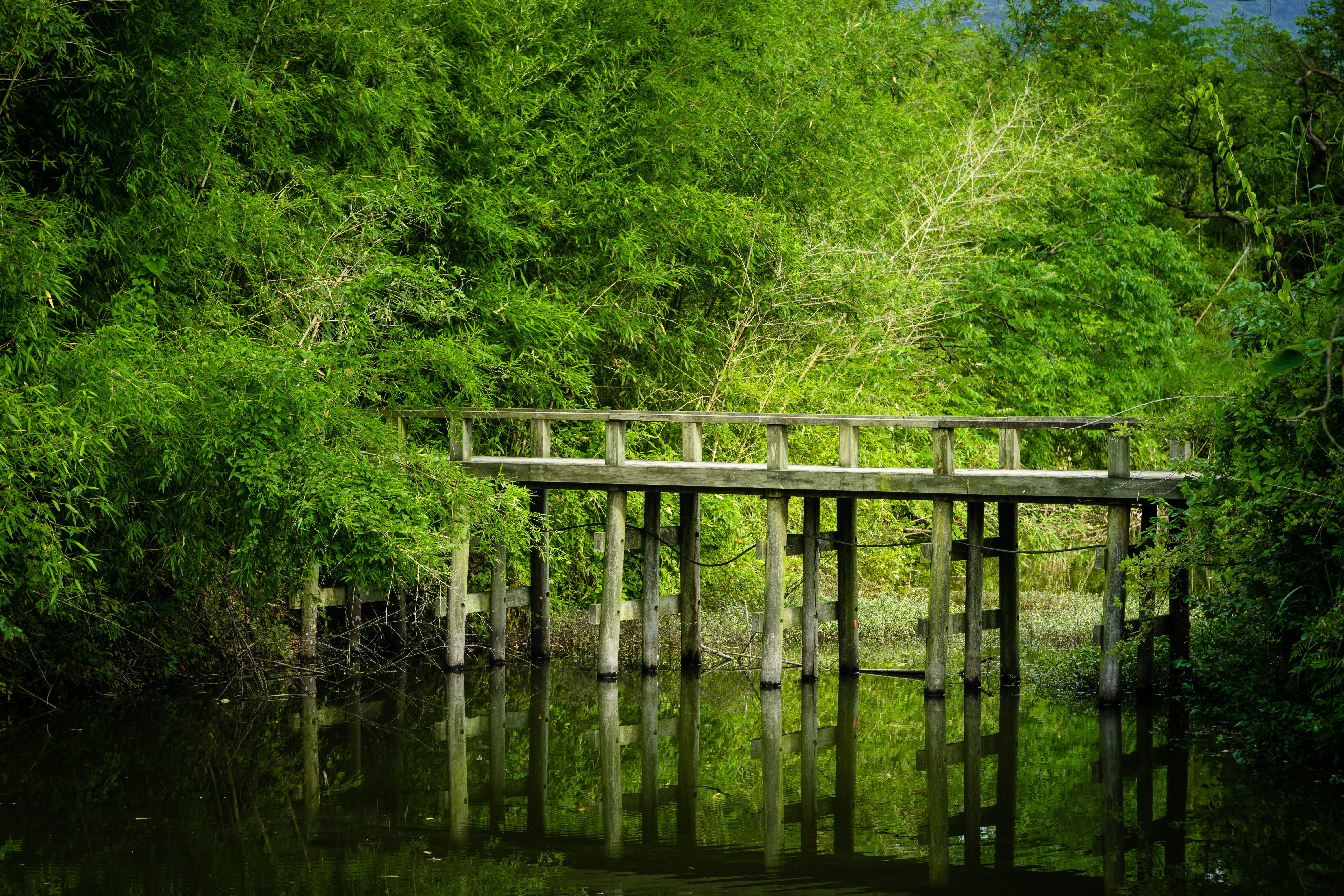 Photo by peterwang1996