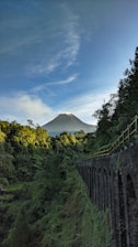 green trees near mountain under blue sky during daytime