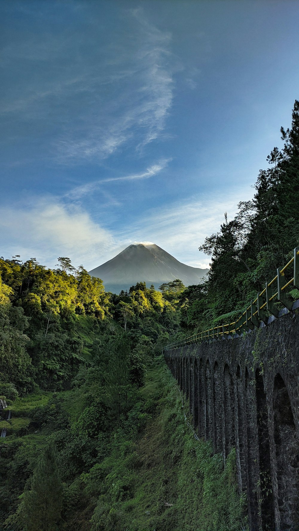 昼間の青空の下、山の近くの緑の木々