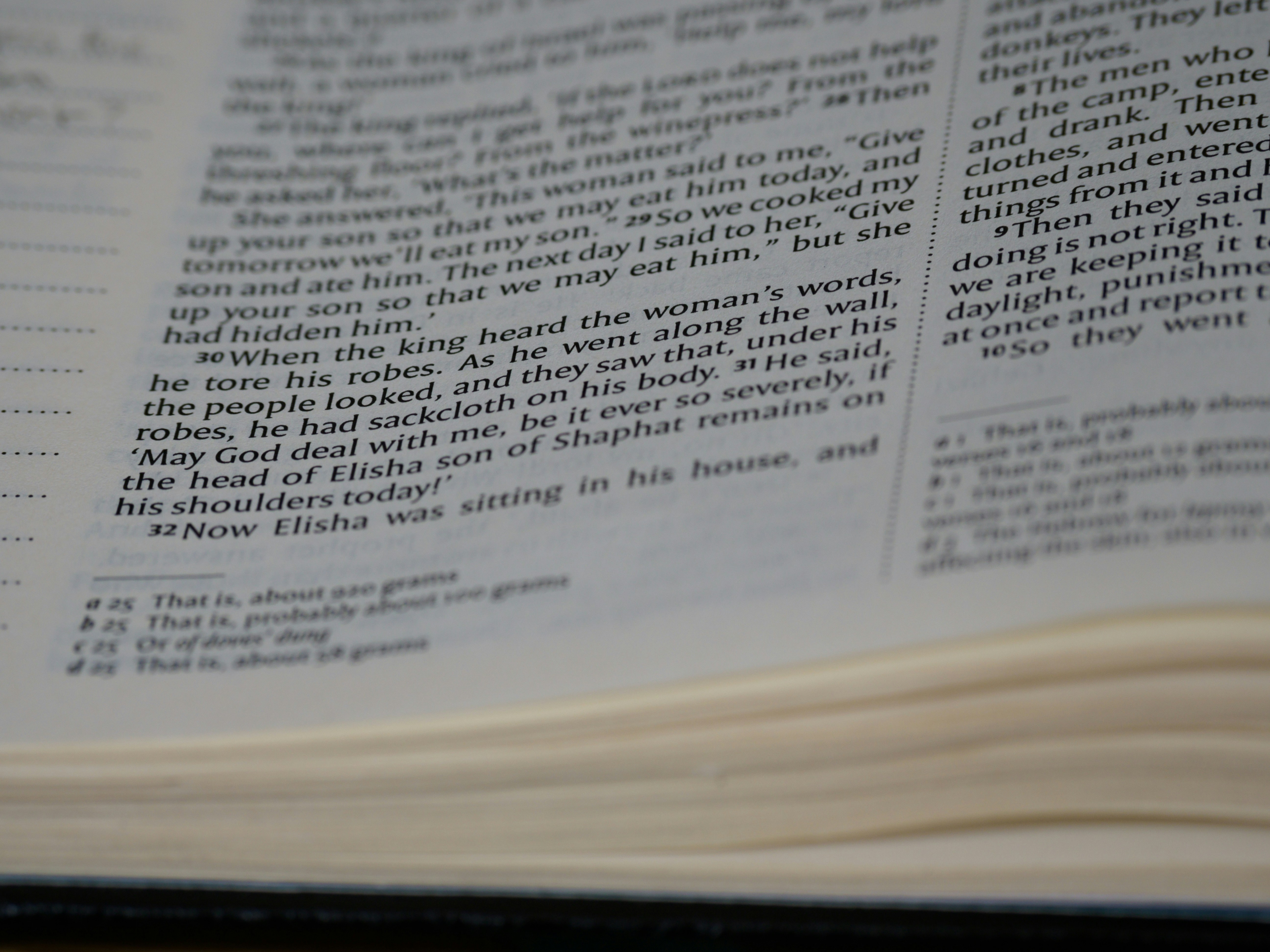 Photo by brett_jordan