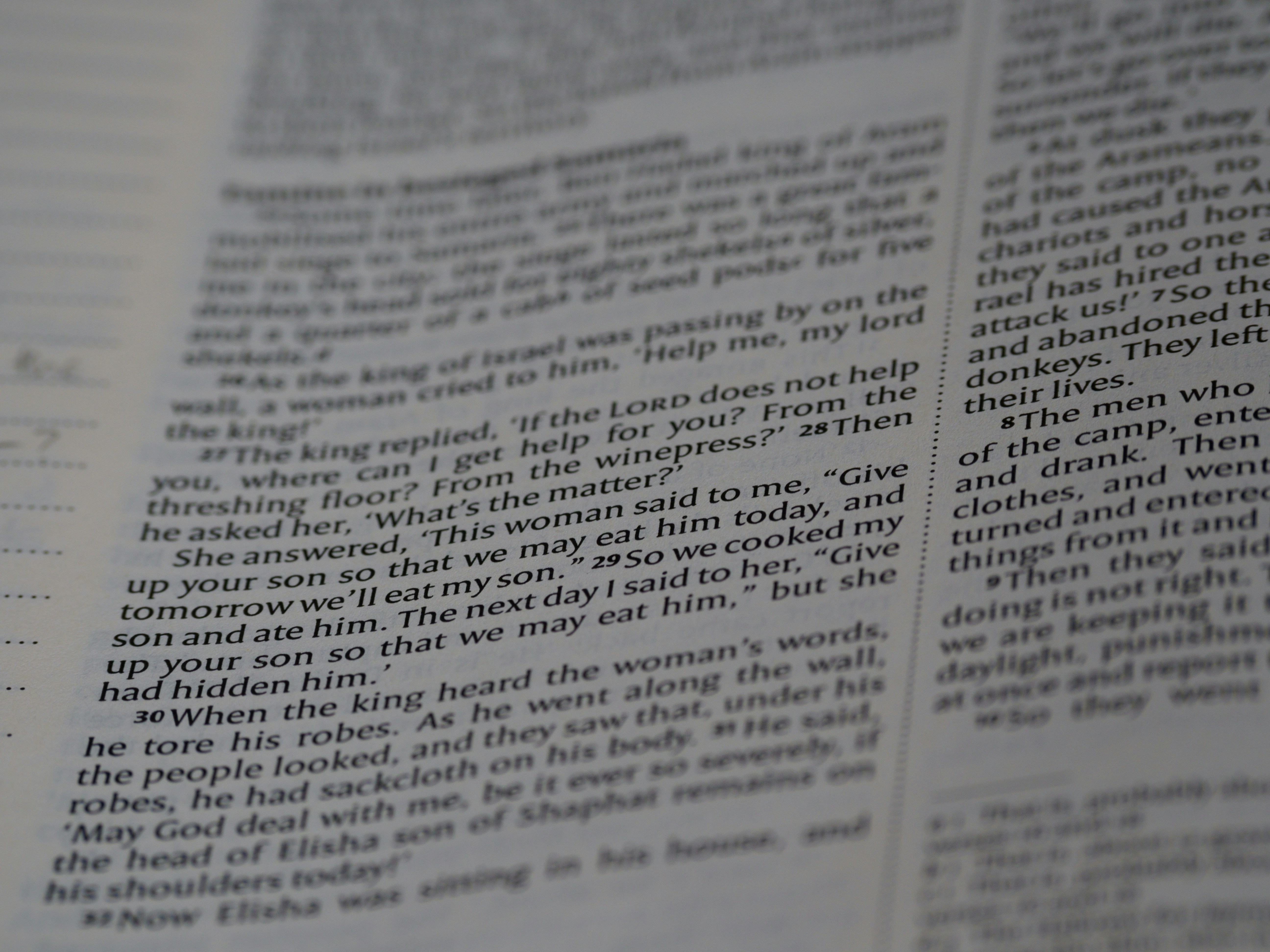 Photo by brett_jordan