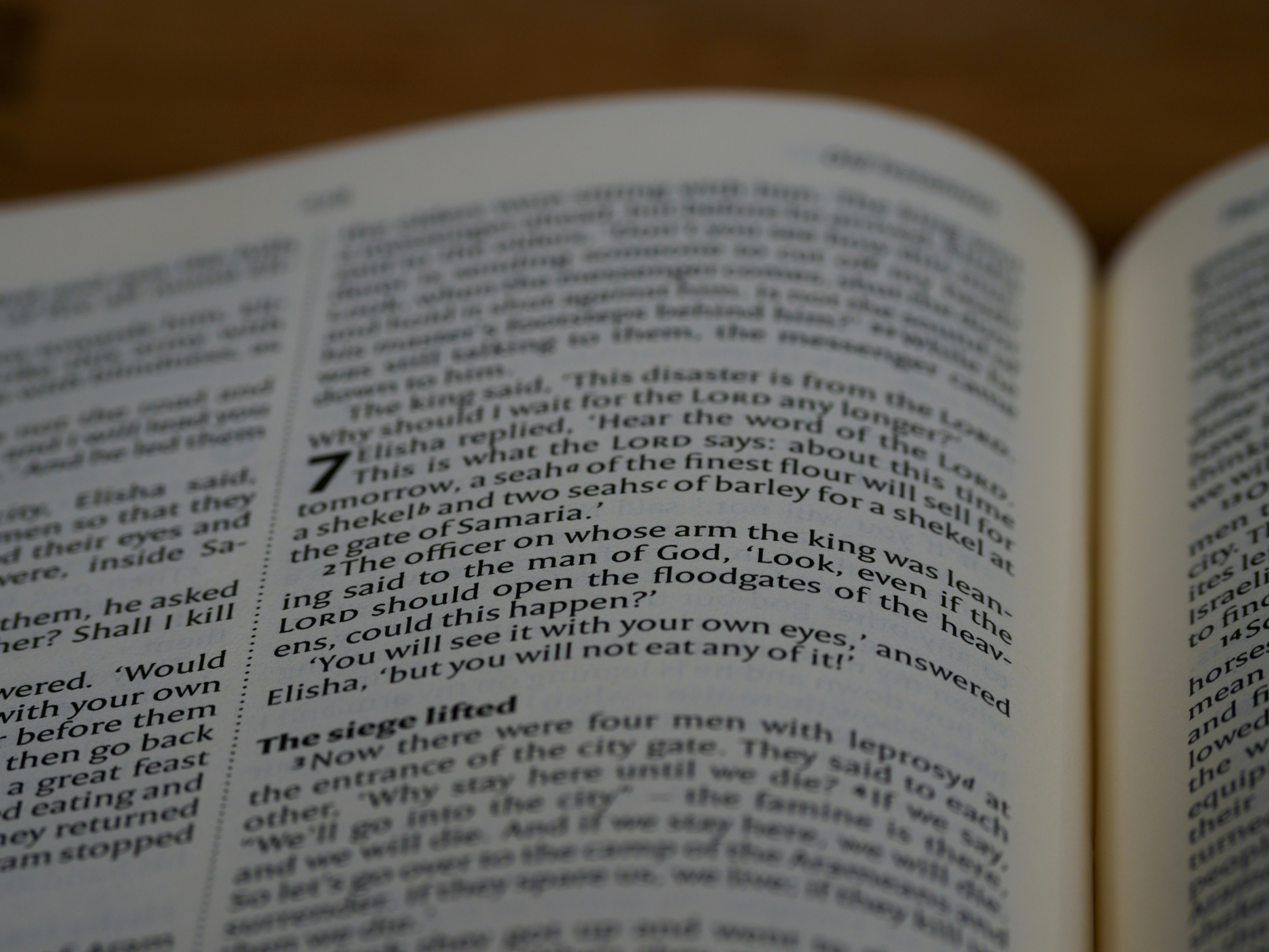 Photo by brett_jordan