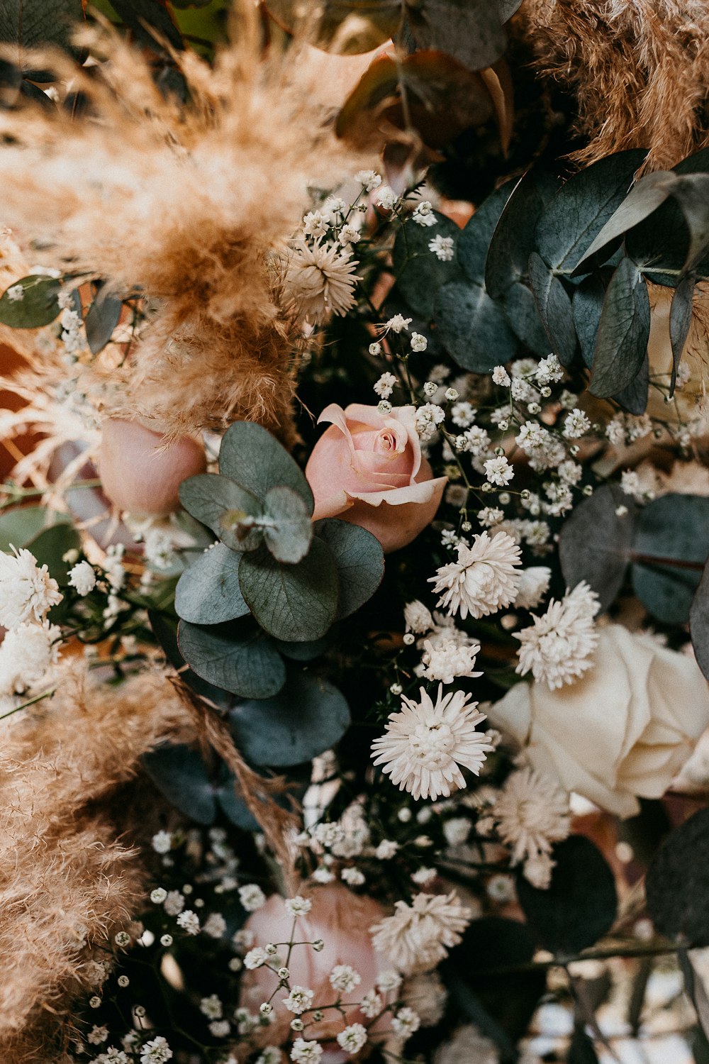 flores blancas y marrones sobre hojas secas marrones