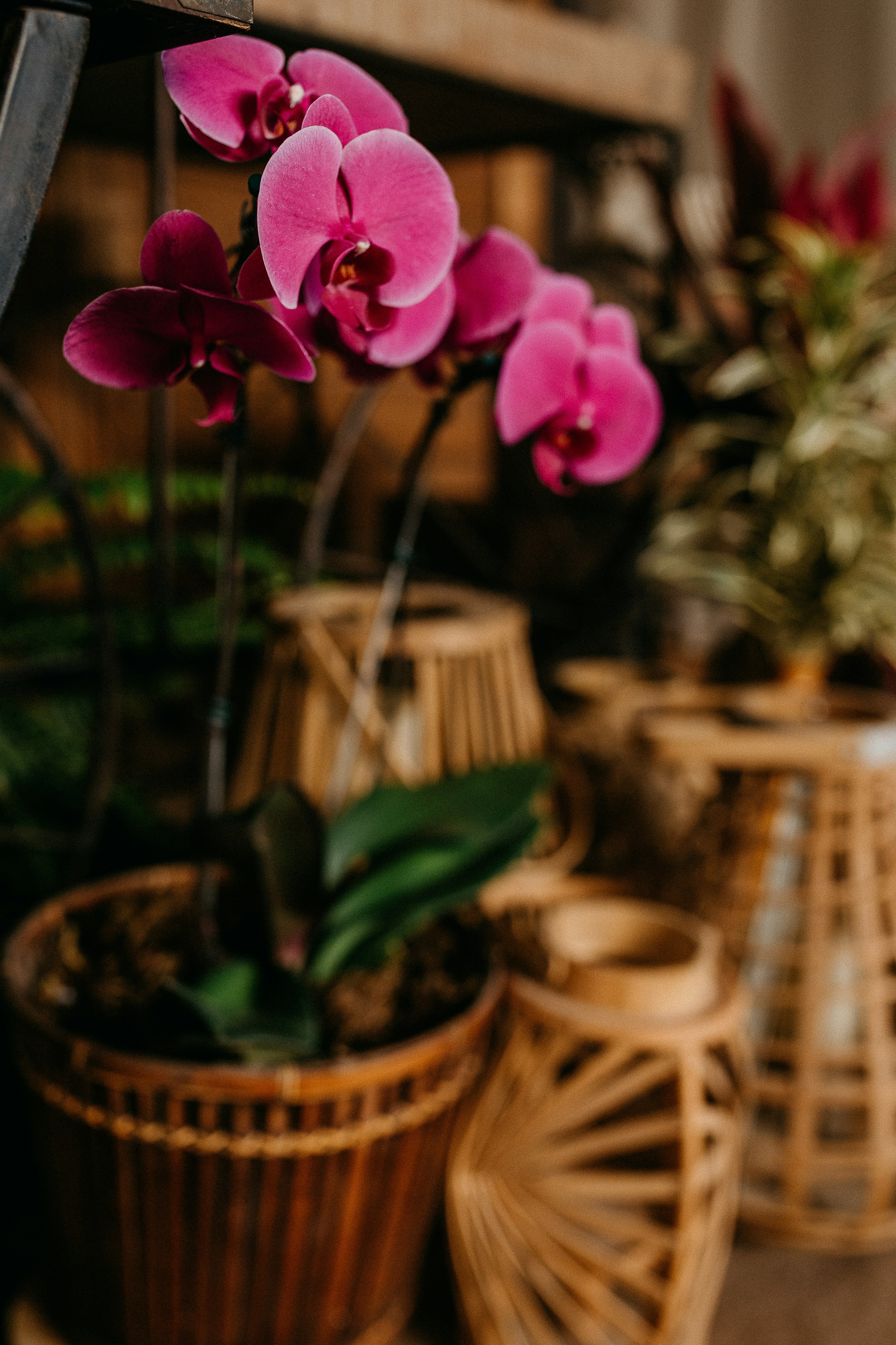 Photo by vitormonthay