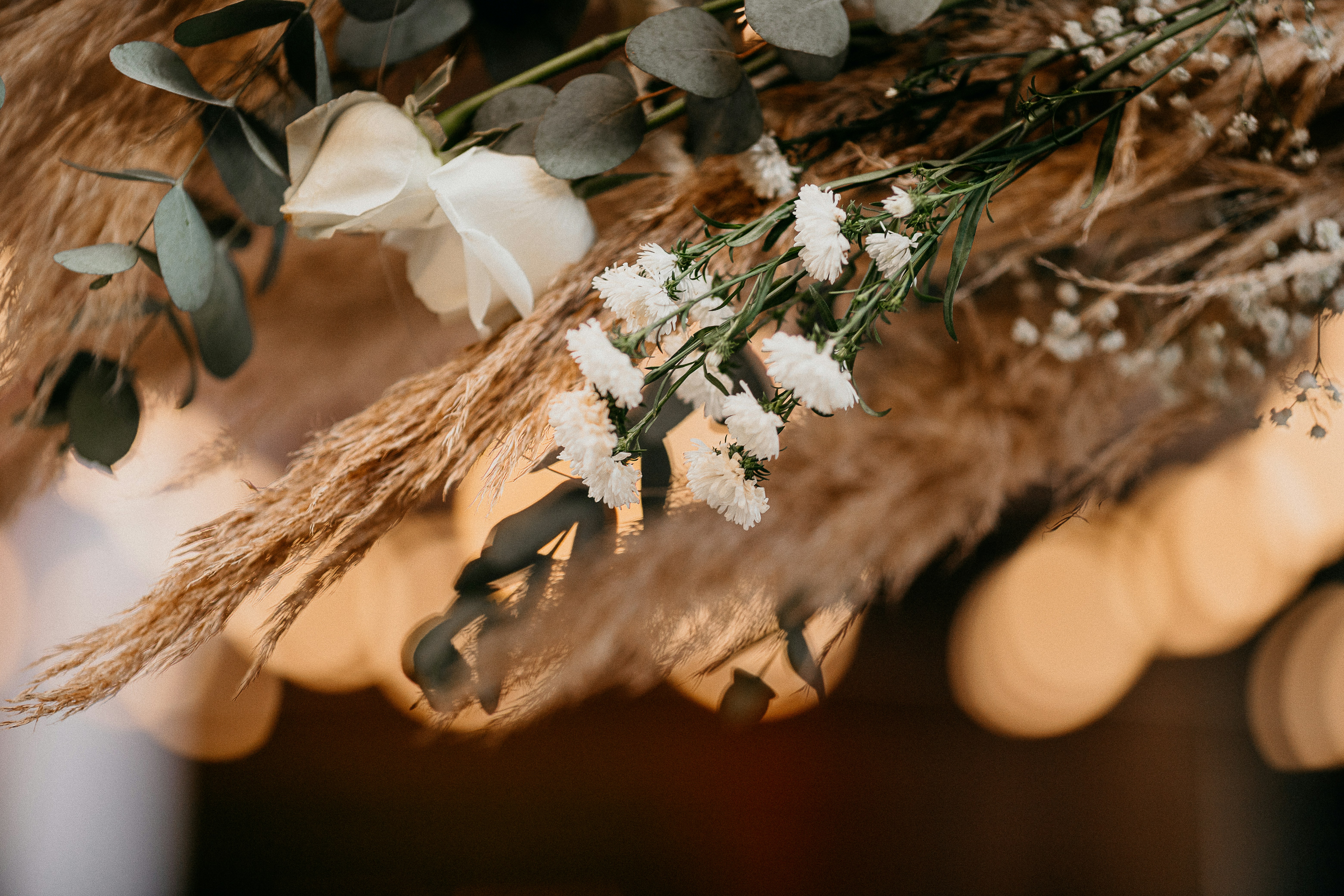 Photo by vitormonthay