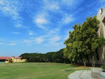 A spacious, well-maintained lawn is bordered by a row of trees with dense foliage. To the left, a yellow building with a red roof is visible. The sky overhead is a bright blue with scattered, wispy clouds. The foreground includes a paved pathway and landscaped greenery.