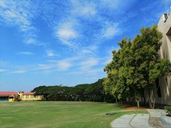 A spacious, well-maintained lawn is bordered by a row of trees with dense foliage. To the left, a yellow building with a red roof is visible. The sky overhead is a bright blue with scattered, wispy clouds. The foreground includes a paved pathway and landscaped greenery.