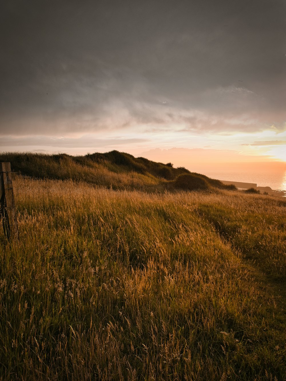 brown grass field under cloudy sky during daytime