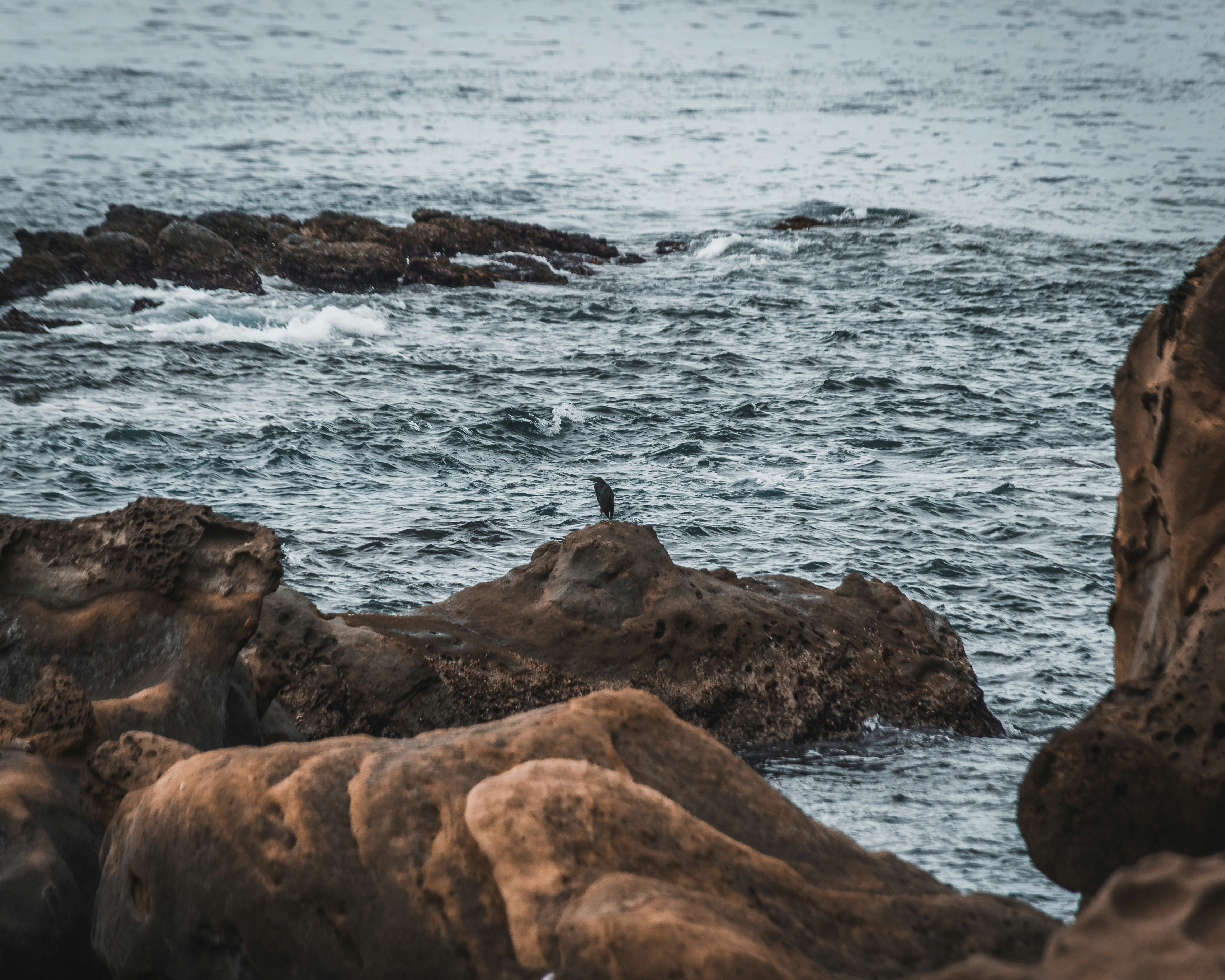 Photo by junhochak