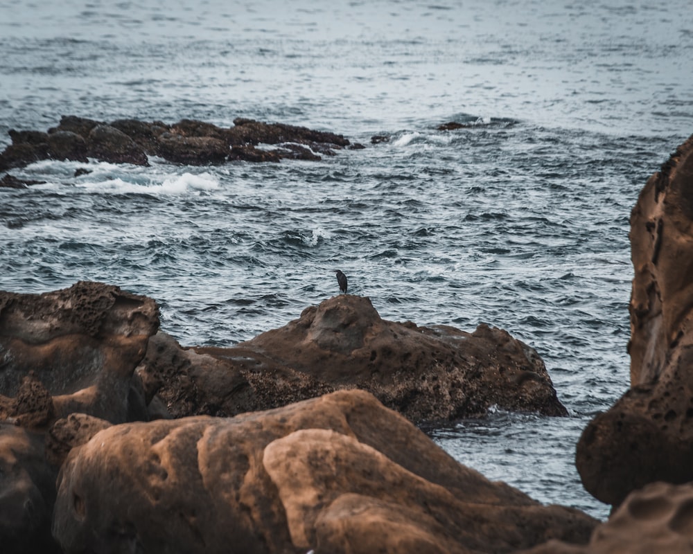 brown rock formation on sea during daytime