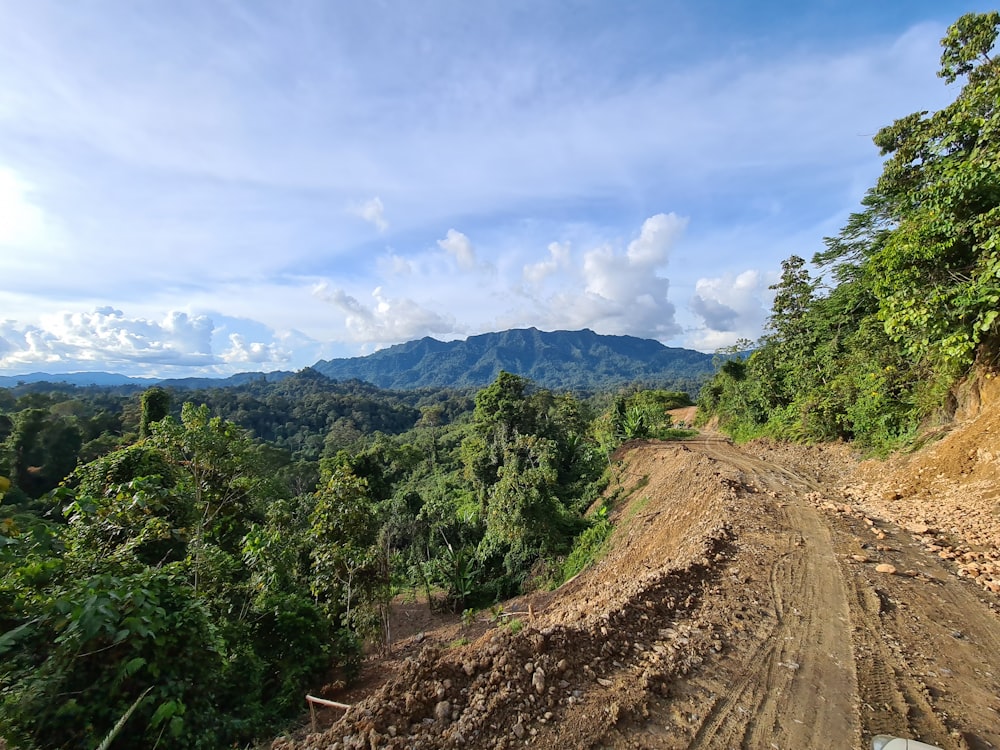 green trees on mountain under blue sky during daytime