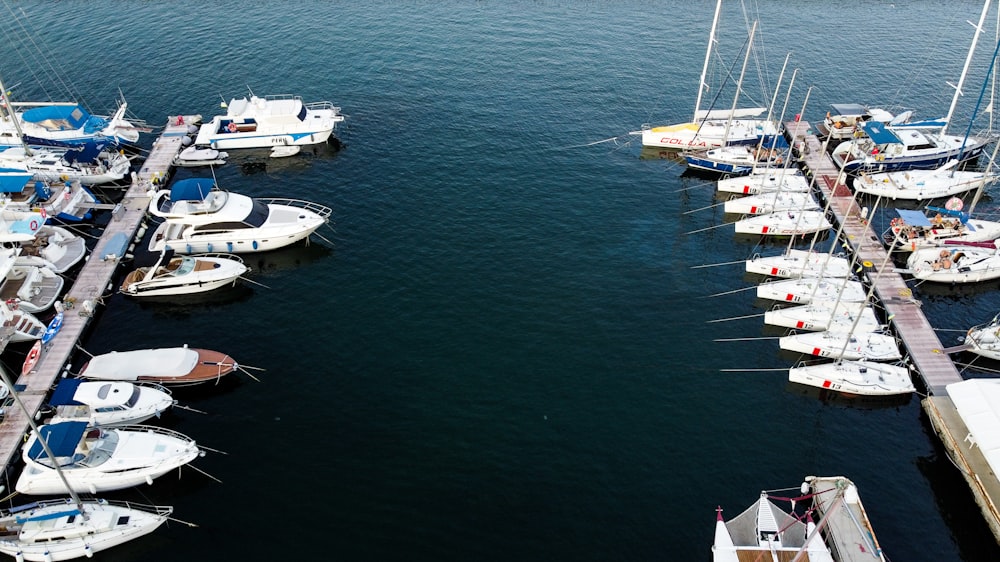 white and blue boat on body of water during daytime