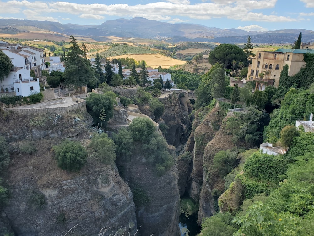 árboles verdes en la montaña durante el día