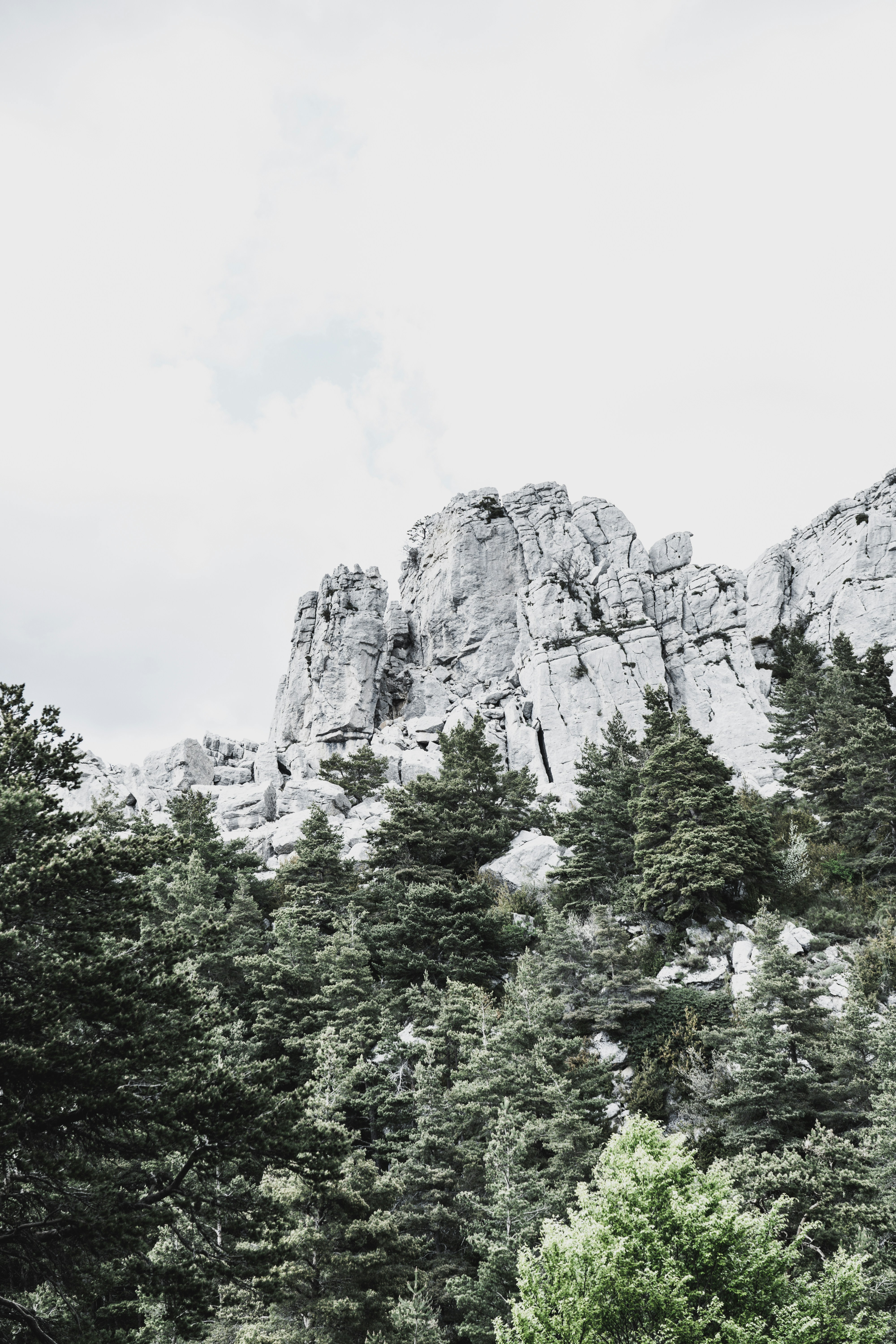 Photo by theverticalstory