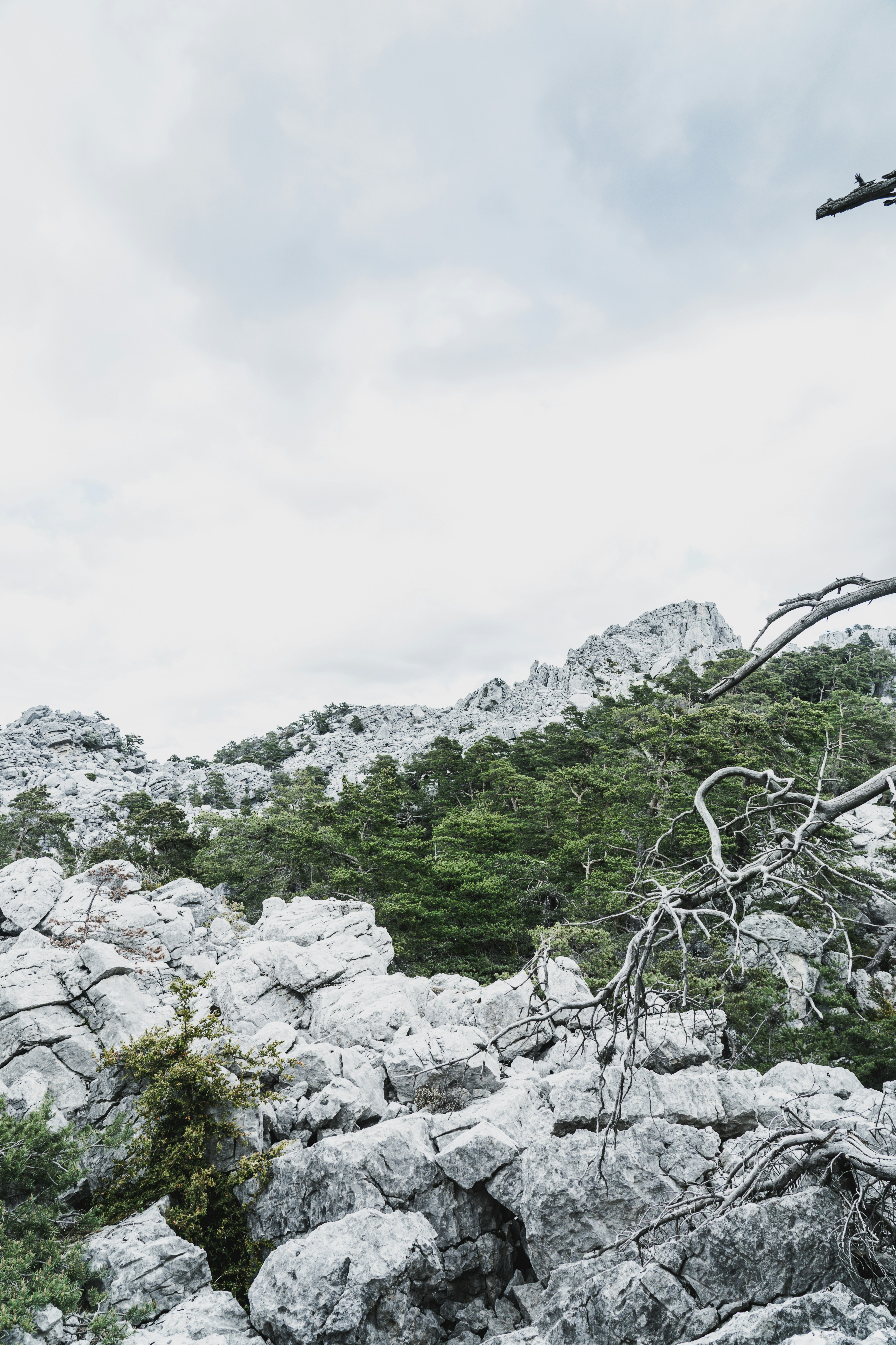 Photo by theverticalstory