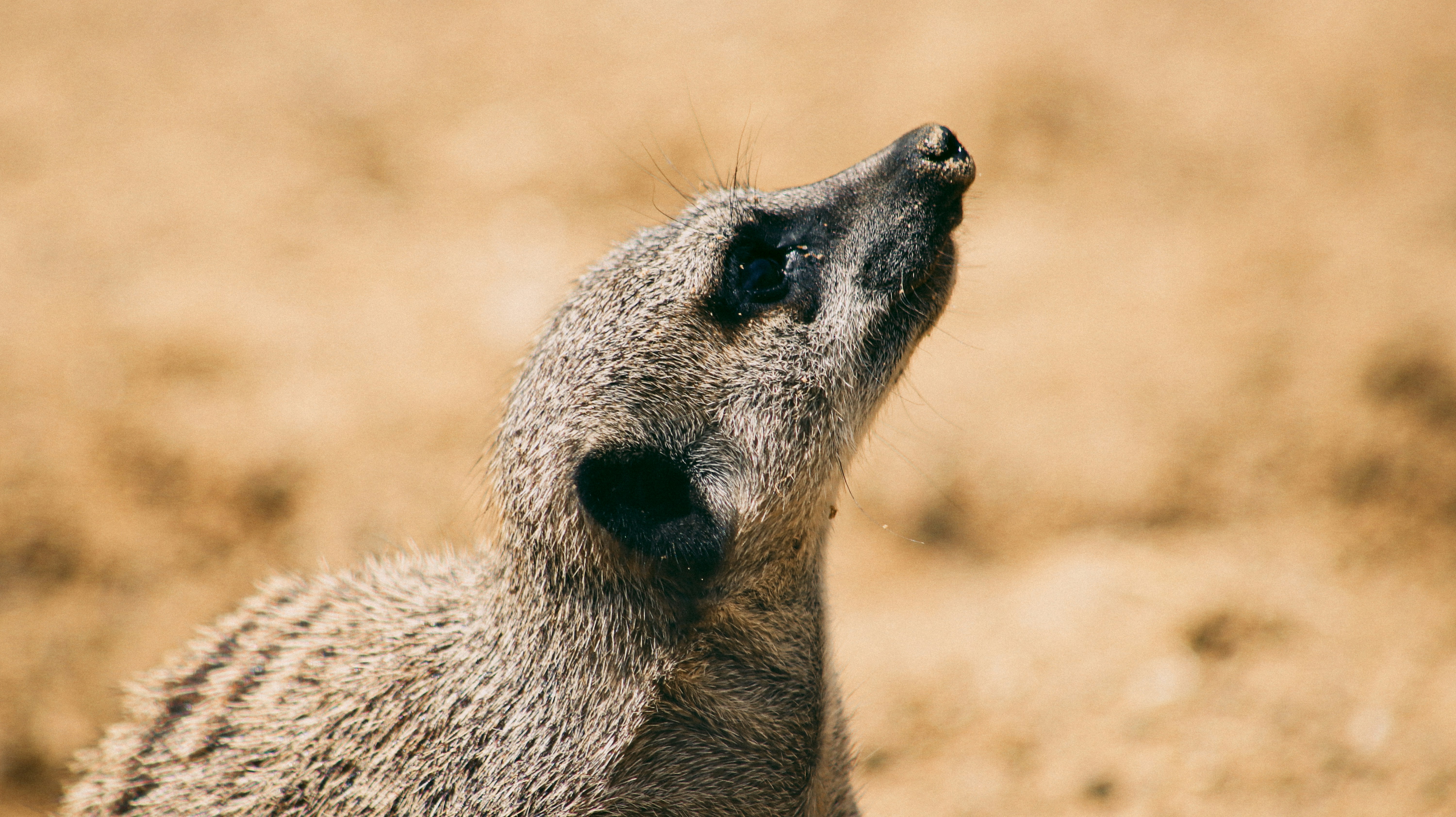 Photo by maxleveridge