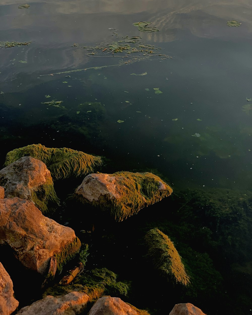 brown rock formation beside body of water during daytime