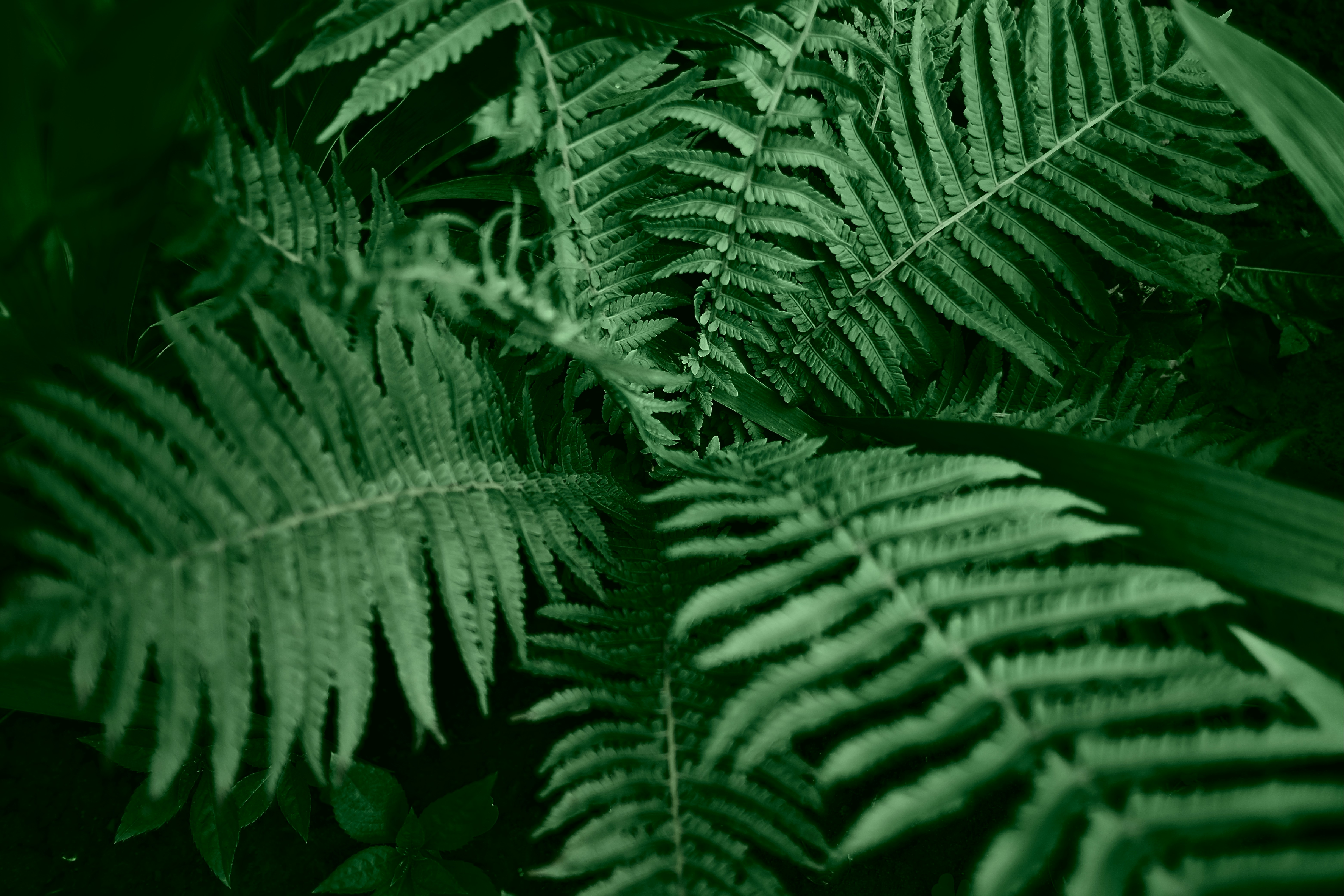 Photo by egorkomarov