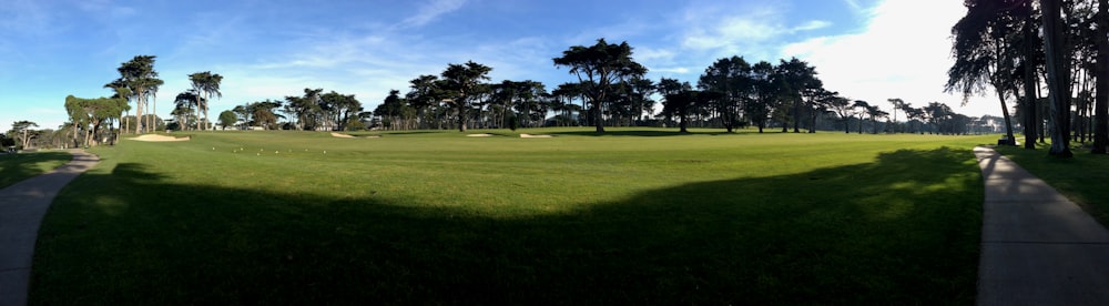 green grass field with trees under blue sky during daytime