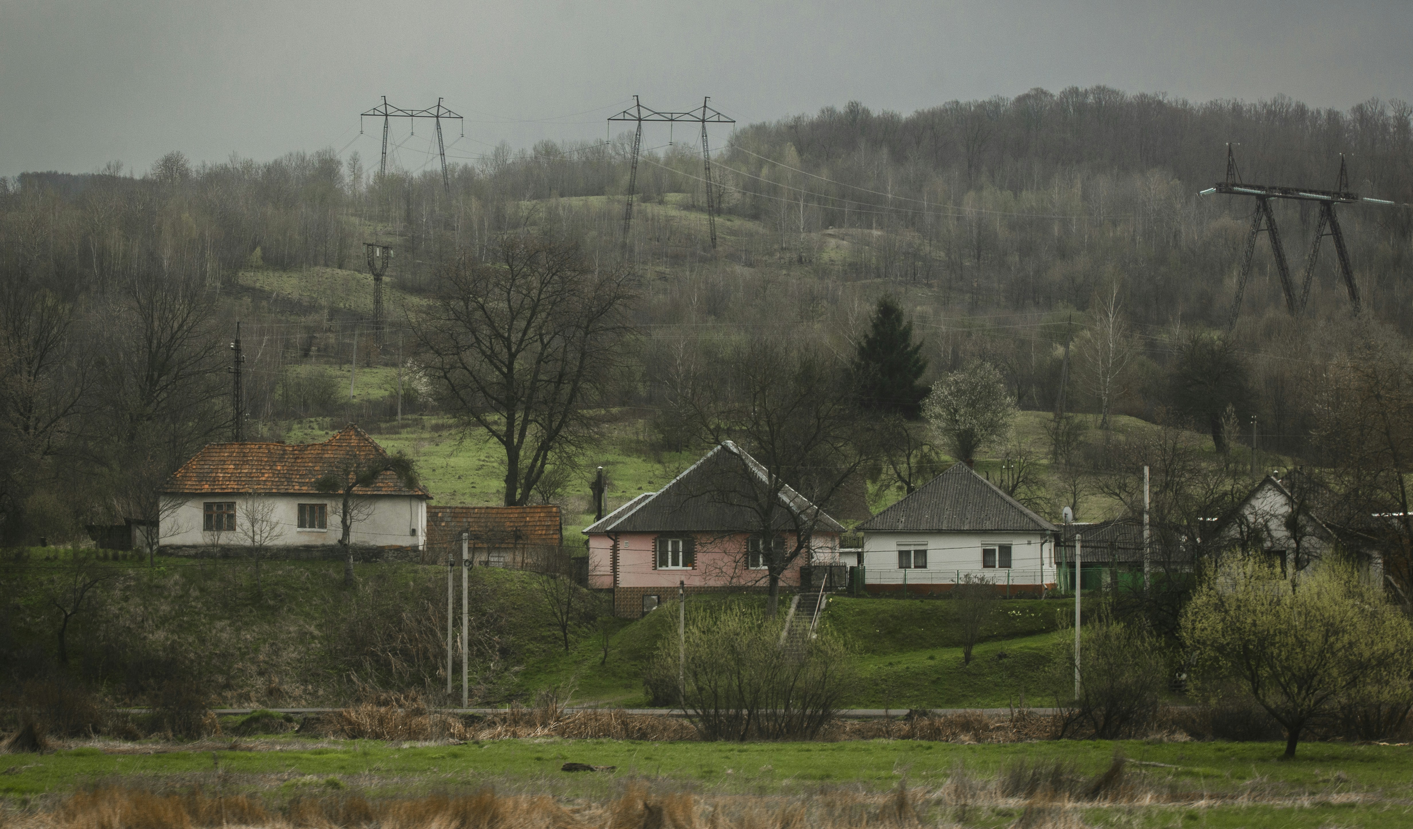 white and brown house near green trees under white sky during daytime