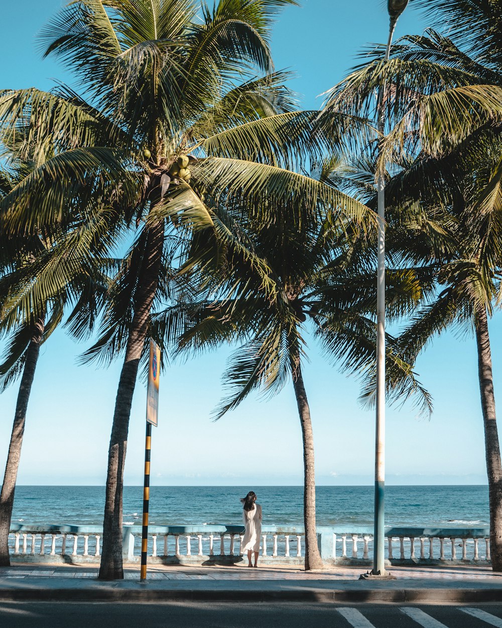 people walking on beach during daytime