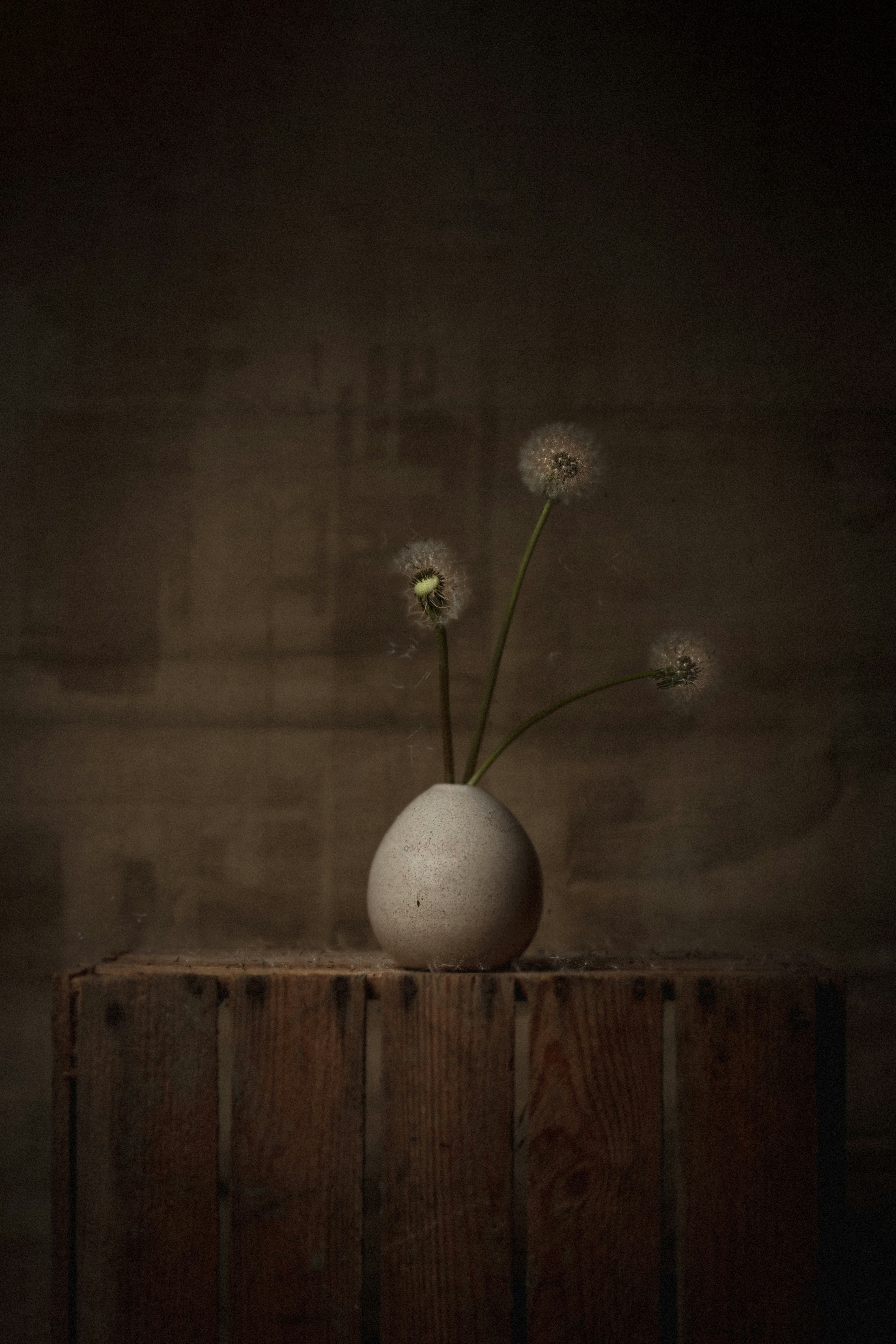 white round ball on brown wooden table