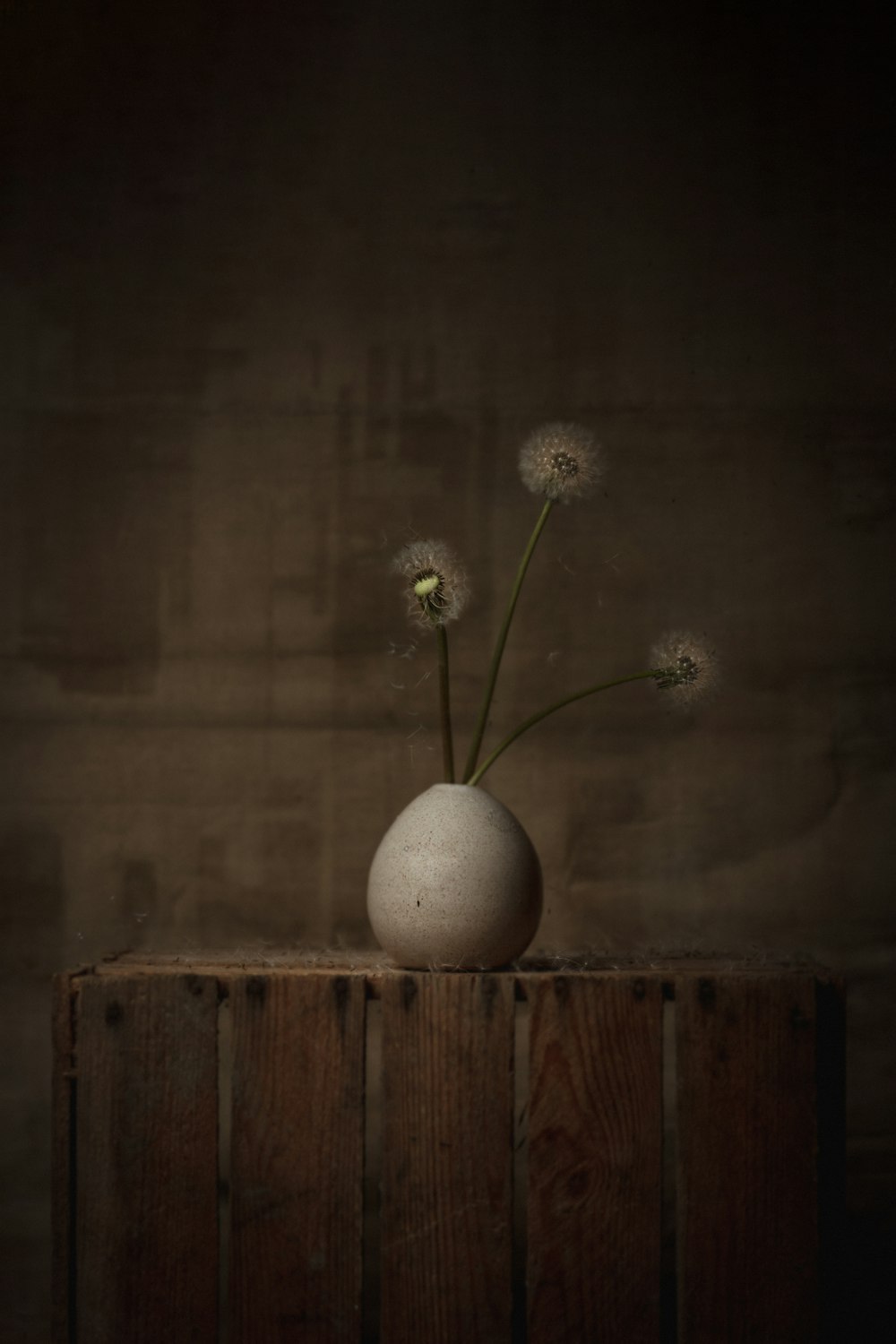 white round ball on brown wooden table