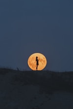 full moon over the silhouette of trees