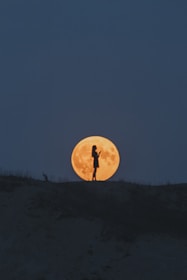 full moon over the silhouette of trees