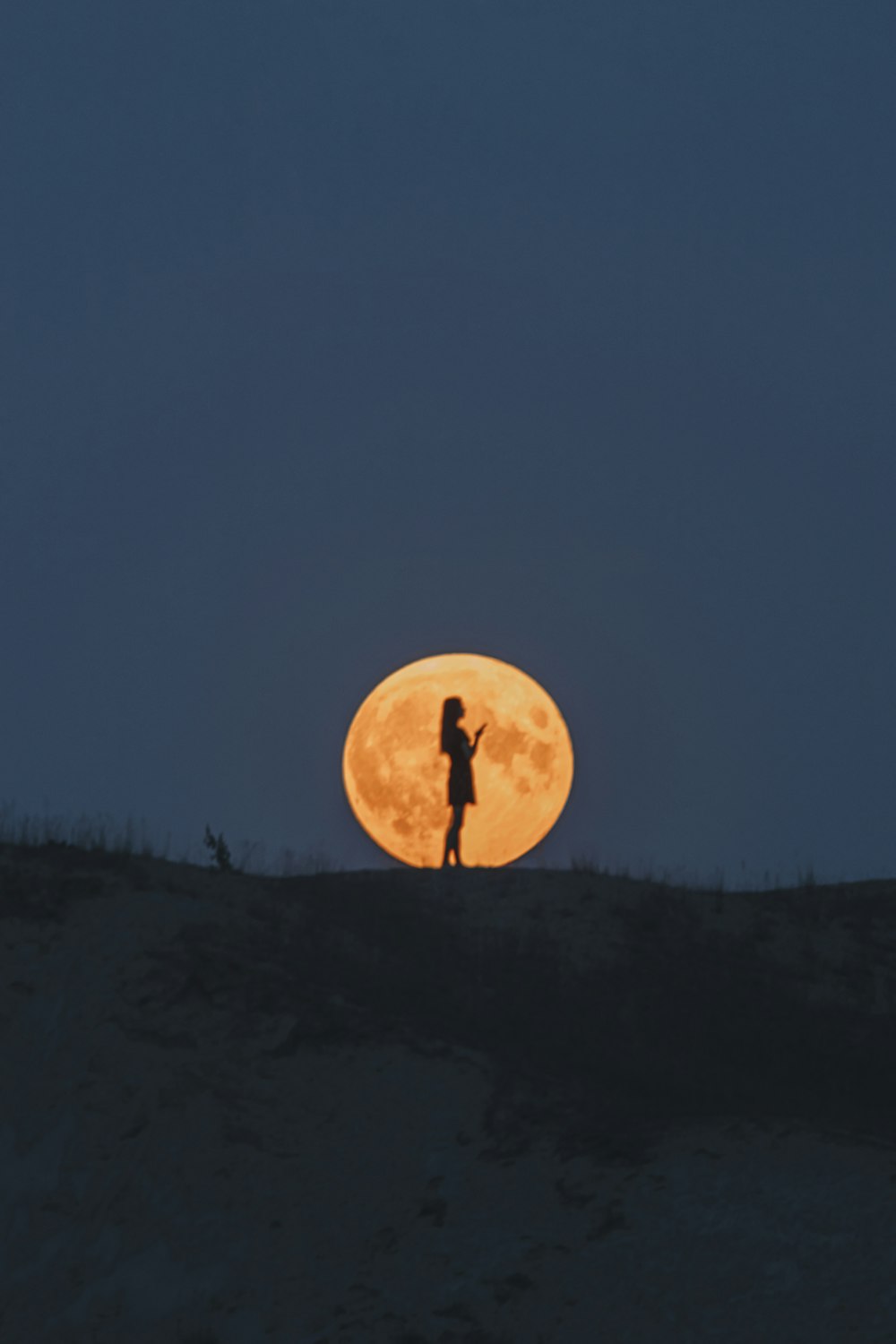 full moon over the silhouette of trees