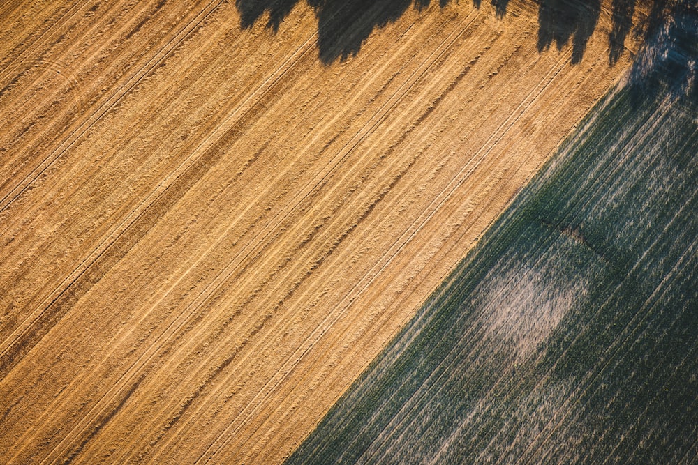 green and brown area rug