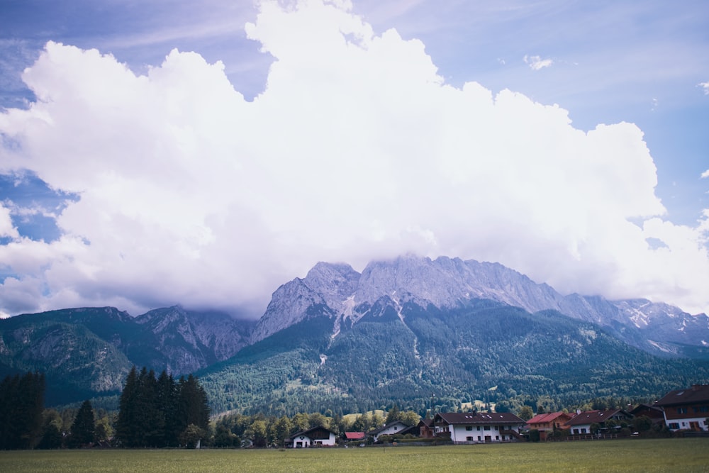 Grüne Bäume in der Nähe von Bergen unter weißen Wolken während des Tages